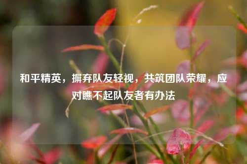 和平精英，摒弃队友轻视，共筑团队荣耀，应对瞧不起队友者有办法