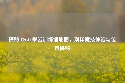 探秘 CSGO 攀岩训练馆地图，别样竞技体验与位置揭秘