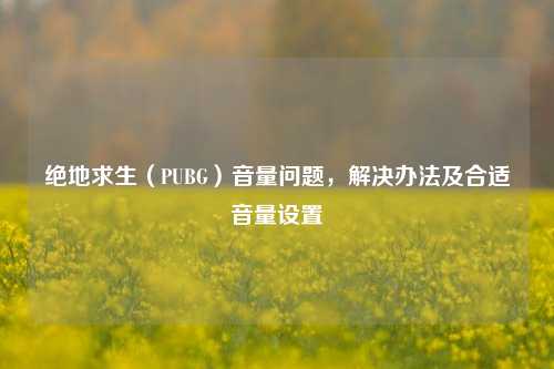 绝地求生（PUBG）音量问题，解决办法及合适音量设置