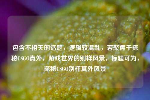 包含不相关的话题,逻辑较混乱,若聚焦于探秘CSGO真外,游戏世界的别样风景,标题可为,探秘CSGO别样真外风景