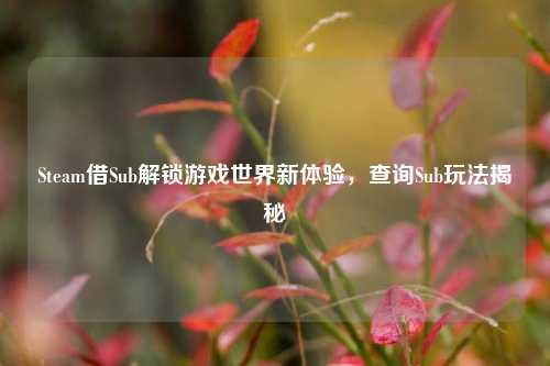 Steam借Sub解锁游戏世界新体验，查询Sub玩法揭秘