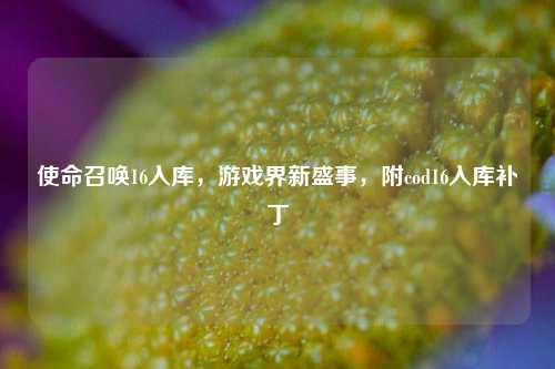 使命召唤16入库,游戏界新盛事,附cod16入库补丁