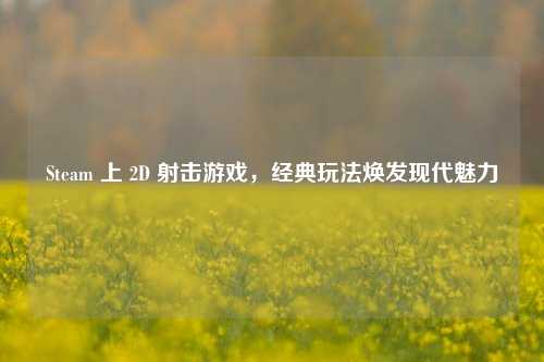 Steam 上 2D 射击游戏,经典玩法焕发现代魅力