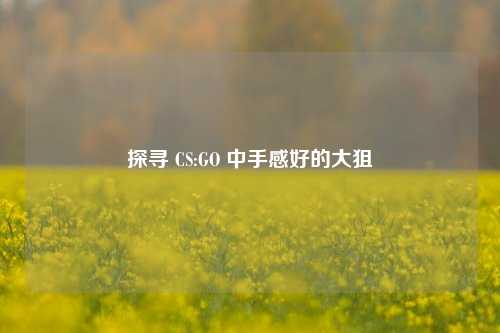 探寻 CS:GO 中手感好的大狙