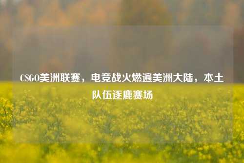 CSGO美洲联赛,电竞战火燃遍美洲大陆,本土队伍逐鹿赛场