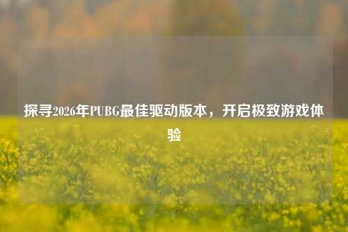探寻2026年PUBG最佳驱动版本，开启极致游戏体验