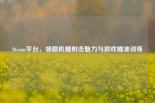 Steam平台，领略机瞄射击魅力与游戏瞄准训练
