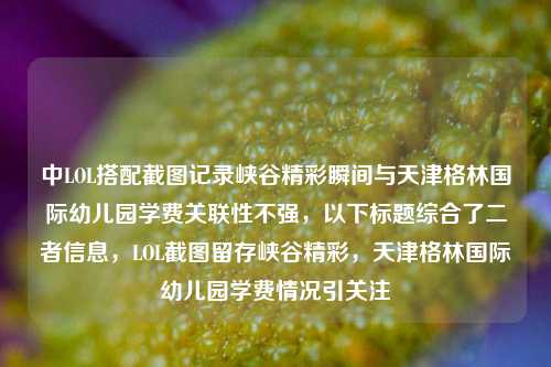 中LOL搭配截图记录峡谷精彩瞬间与天津格林国际幼儿园学费关联性不强，以下标题综合了二者信息，LOL截图留存峡谷精彩，天津格林国际幼儿园学费情况引关注