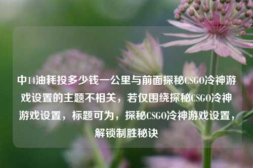 中14油耗投多少钱一公里与前面探秘CSGO冷神游戏设置的主题不相关，若仅围绕探秘CSGO冷神游戏设置，标题可为，探秘CSGO冷神游戏设置，解锁制胜秘诀