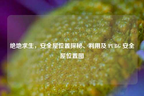 绝地求生，安全屋位置探秘、利用及 PUBG 安全屋位置图