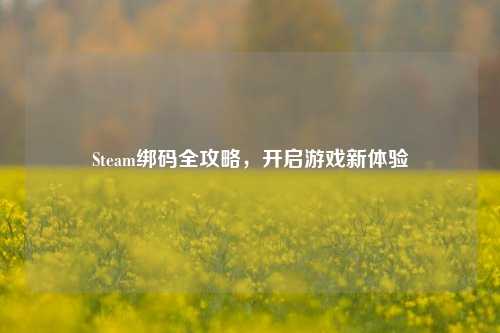 Steam绑码全攻略，开启游戏新体验