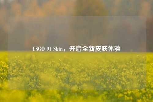 CSGO 91 Skin，开启全新皮肤体验