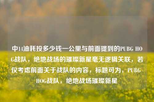 中14油耗投多少钱一公里与前面提到的PUBG HOG战队，绝地战场的璀璨新星毫无逻辑关联，若仅考虑前面关于战队的内容，标题可为，PUBG HOG战队，绝地战场璀璨新星