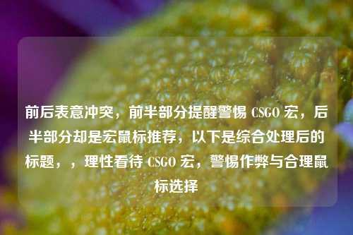 前后表意冲突，前半部分提醒警惕 CSGO 宏，后半部分却是宏鼠标推荐，以下是综合处理后的标题，，理性看待 CSGO 宏，警惕作弊与合理鼠标选择