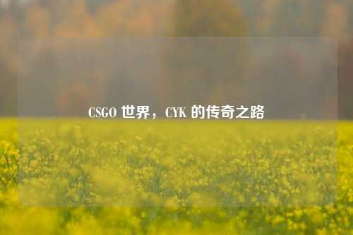 CSGO 世界，CYK 的传奇之路
