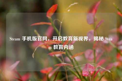 Steam 手机版官网，开启教育新视界，揭秘 Steam 教育内涵