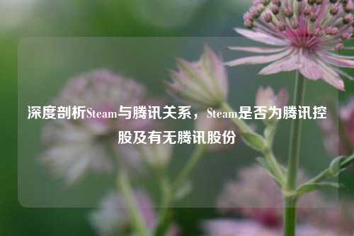 深度剖析Steam与腾讯关系,Steam是否为腾讯控股及有无腾讯股份
