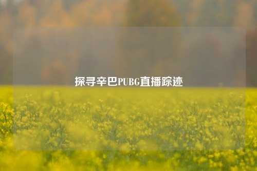 探寻辛巴PUBG直播踪迹
