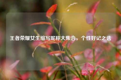 王者荣耀女生缩写昵称大集合,个性好记之选