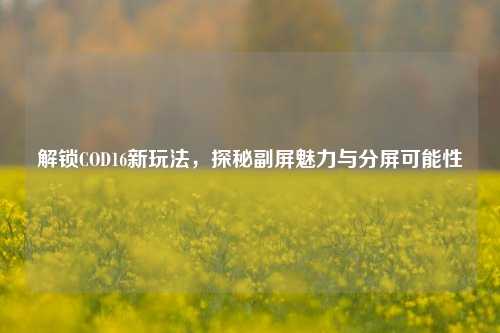解锁COD16新玩法，探秘副屏魅力与分屏可能性