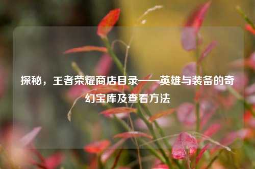 探秘，王者荣耀商店目录——英雄与装备的奇幻宝库及查看方法
