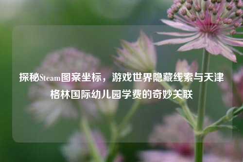 探秘Steam图案坐标，游戏世界隐藏线索与天津格林国际幼儿园学费的奇妙关联