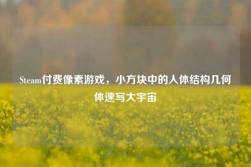 Steam付费像素游戏，小方块中的人体结构几何体速写大宇宙