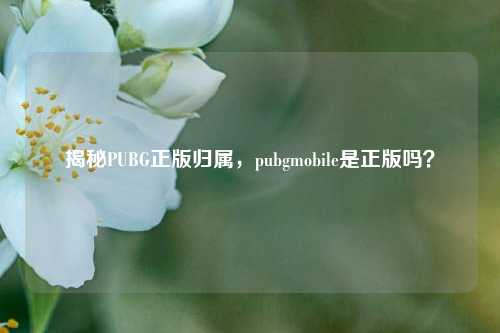 揭秘PUBG正版归属,pubgmobile是正版吗?