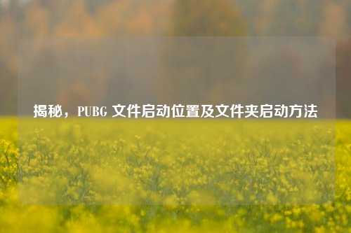 揭秘，PUBG 文件启动位置及文件夹启动方法
