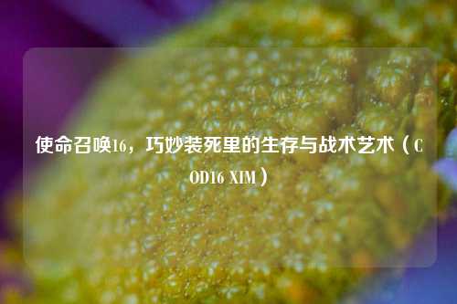 使命召唤16,巧妙装死里的生存与战术艺术(COD16 XIM)