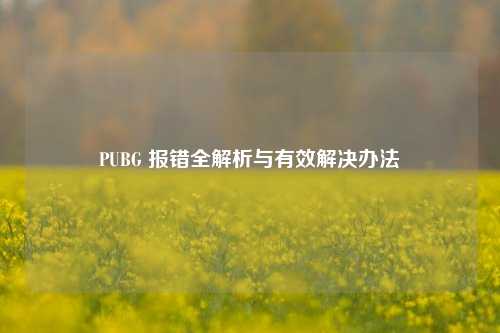 PUBG 报错全解析与有效解决办法