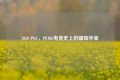 2020 PGC，PUBG电竞史上的璀璨华章
