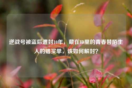 逆战号被盗后遭封10年，藏在ID里的青春替陌生人的错买单，该如何解封？