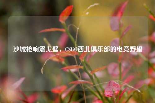 沙城枪响震戈壁，CSGO西北俱乐部的电竞野望
