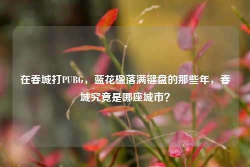 在春城打PUBG,蓝花楹落满键盘的那些年,春城究竟是哪座城市?