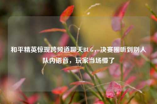 和平精英惊现跨频道聊天BUG，决赛圈听到别人队内语音，玩家当场懵了