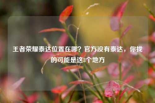 王者荣耀泰达位置在哪？官方没有泰达，你找的可能是这3个地方