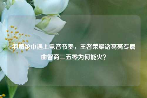 羽扇纶巾遇上电音节奏,王者荣耀诸葛亮专属曲智商二五零为何能火?