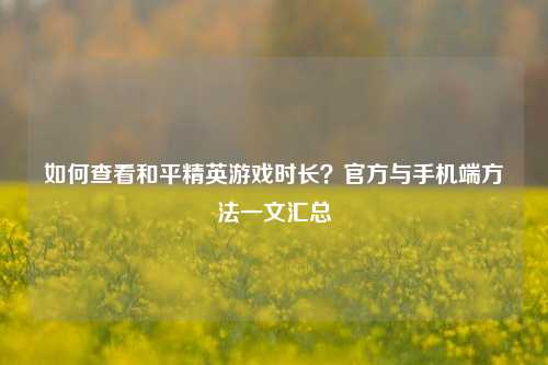 如何查看和平精英游戏时长？官方与手机端方法一文汇总