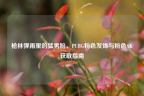 枪林弹雨里的猛男粉,PUBG粉色发饰与粉色AK获取指南