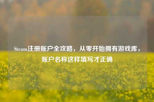 Steam注册账户全攻略，从零开始拥有游戏库，账户名称这样填写才正确