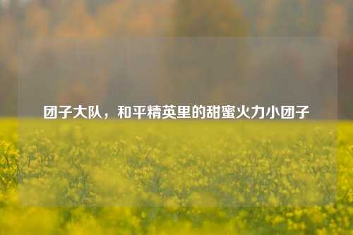 团子大队，和平精英里的甜蜜火力小团子