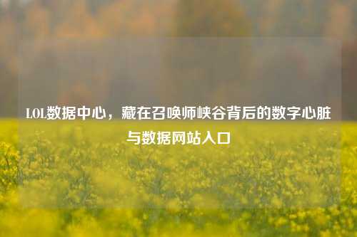 LOL数据中心，藏在召唤师峡谷背后的数字心脏与数据网站入口