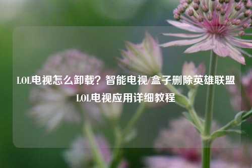 LOL电视怎么卸载？智能电视/盒子删除英雄联盟LOL电视应用详细教程