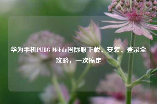 华为手机PUBG Mobile国际服下载、安装、登录全攻略，一次搞定