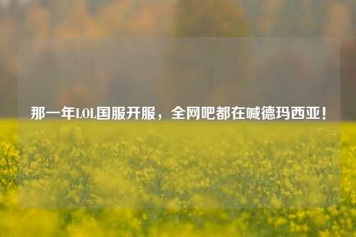 那一年LOL国服开服，全网吧都在喊德玛西亚！