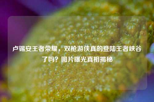 卢锡安王者荣耀，双枪游侠真的登陆王者峡谷了吗？图片曝光真相揭秘