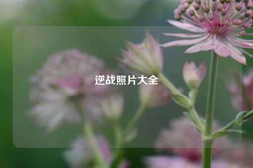 逆战照片大全