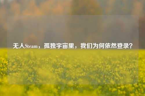 无人Steam，孤独宇宙里，我们为何依然登录？