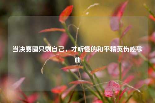当决赛圈只剩自己，才听懂的和平精英伤感歌曲